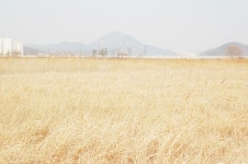 외방커뮤니티 > 사진방 > 소래소래
