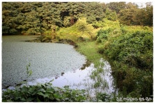 꾼이야 낚시여정 깊은산속 옹달샘 :: 토종붕어를 사랑하는 사람들