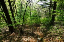 의왕2083산우회 | 제101차 7/3日 문경 황장산 산행 - Daum 카페 제101차 7/3日 문경 황장산  산행