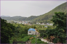 (지촌지)바람따라 구름따라 679회 :: 토종붕어를 사랑하는 사람들