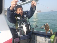 (南)남해조황 - 왕도다리 회맛손맛에뽕~갑니다~~(예약가능)