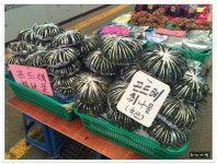  정선5일장맛집 회동집 - 강원/정선 지역 추천맛집 회동집 후기