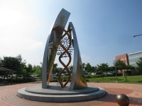 대구 북구 칠곡경북대병원 풍경 - 201011~202102 수능 갤러리