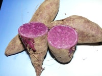 생산지에서 직접 거래합니다 - 직게래 장터 - 하양청구산악회 생산지에서 직접 거래합니다 