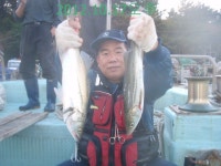 송정 해동호 4짜 참돔 마릿수조황~!!