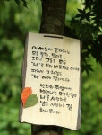 개그맨 이동우씨 사연 - ♥삶의 이야기 - 좋은글과 음악이 흐르는곳 개그맨 이동우씨 사연