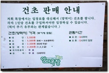 늑대를 만나기 전에 꼭 가봐야 할 곳! <대관령 양떼 목장>