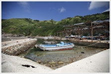 강화발이 > 마파도를 가다 1부 : 낚시사랑