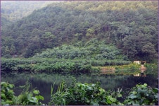 (지촌지)바람따라 구름따라 679회 :: 토종붕어를 사랑하는 사람들