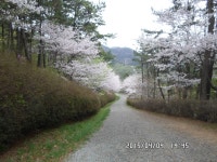 봄맞이산행 마산-창원-진해 종주 - *―··개인산행앨범 - 동행산사랑산악회 동행산사랑산악회