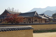 시청자의견 유네스코 등재 탈북민도 꼭 가볼만한 안동 하회마을 가을풍경