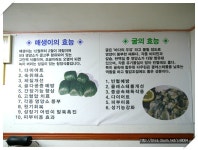[부산 사직동] 굴과 수육의 환상적인 궁합을 자랑하는 李家밀면