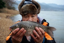 진도 봉암지와 세방낙조를 다녀와서... :: 토종붕어를 사랑하는 사람들