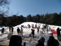 부산테마여행사
