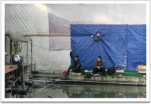 벌트 > 경춘낚시터 : 낚시사랑