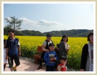  남지 낙동강유채꽃 축제에서 - 자유게시판 - 동진노인복지센터 ﻿﻿ 남지 낙동강유채꽃 축제에서