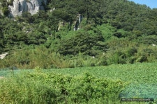 부서/신도회앨범 - 여수 금오도 비렁길을 걷다