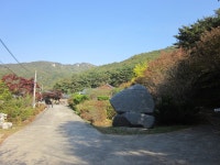 용인 산악회 11월 갑장산(806m) 산행 안내 - ‥― 정기산행 공지/신청 - 용인 산악회 용인 산악회 11월 갑장산(806m) 산행 안내