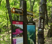 홀로산행 | 수리산-황홀한 군포철쭉 축제장에서 초막골 생태공원으로 (2017.4.28.금) - Daum 카페 수리산-황홀한 군포철쭉 축제장에서... 