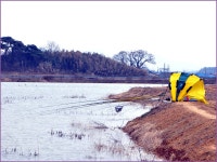 (신당제)바람따라 구름따라 647회 :: 토종붕어를 사랑하는 사람들