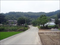 공주여행 베리베리팜 블루베리농장 체험하고 용문서원 구경