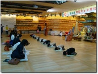 우리절 동자승이 탄생하였습니다.[불기2558년 동자승삭발식 및 수계식] > 한국불교대학소식 | 한국불교대학大관음사