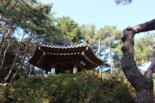 충남고 18회 동문회 | 장흥 천관산 등산(영월정~장천재~금강굴~환희대~구룡봉~연대봉~양근암~장안사~효자송~주차장/20161112) 코스 - Daum 카페... 