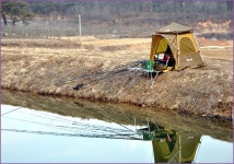 (먼갓지)바람따라 구름따라 644회 :: 토종붕어를 사랑하는 사람들