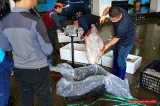 (인천 맛집)꽃게탕,간장게장,양념게장,생선구이까지 주는 꽃게 정식 8,000원 - 인천 지역 추천맛집 동해 식당 후기