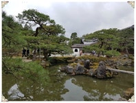 굴렁쇠일본간사이배낭여행-교토를 가다. 2 - 자유게시판 - 푸른우포사람들 굴렁쇠일본간사이배낭여행-교토를 가다. 2