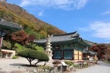 부산테마여행사