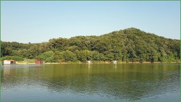 바람따라 구름따라 915회( 반제낚시터) :: 토종붕어를 사랑하는 사람들