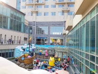 좋은정보추천 | [여행솔직후기]경주 한화뽀로로아쿠아빌리지 워터파크 - Daum 카페 [여행솔직후기]경주 한화뽀로로아쿠아빌리지 워터파크