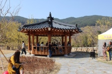 부산테마여행사