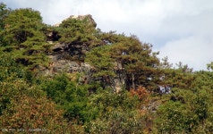 산행기 - 행경매기산, 피난봉, 출세봉, 소리산 - 경기 양평군 단월면 2009.10.01