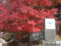 11/11 북한산 구기계곡과 훈련도감터 - 등산 갤러리