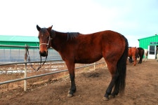 맛집 정보 검색 NO.1 사이트, 메뉴판닷컴 :: 맛집 정보가 가득