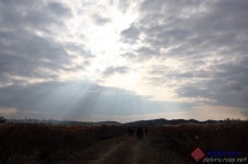 익산 용머리고을 억새축제장에서 느껴보는 가을 :: 축제 사진 || 더페스티벌 익산 용머리고을 억새축제장에서 느껴보는 가을 :: 축제 사진