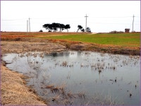 (신당제)바람따라 구름따라 647회 :: 토종붕어를 사랑하는 사람들