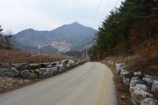 하동송림 | 삼시세끼 촬영장-강원도 정선 대촌마을 쓰레기 유감 - Daum 카페 삼시세끼 촬영장-강원도 정선 대촌마을 쓰레기 유감