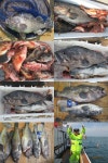 (南)남해조황 - ***잠자는 우럭 63짜리를 열기채비로 건드리다!!!~~내일 자리 여유있습니다