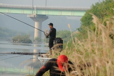 강원도원주에서...섬강줄기 :: 토종붕어를 사랑하는 사람들