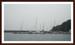 (東)동해조황 - ,양양 수산항에서 어구가자미 마리수조황이 이정도입니다..양양엑스포호010-4300-3588