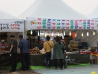 경기도 안산 추천여행 - 2013경기안산항공전 풍경 이모저모 | 여행이야기 | 추천여행 | 경기관광플랫폼