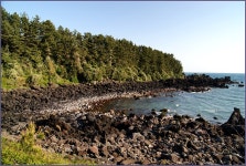 그 아름다움, 5월의 제주 올레길 - 5, 6코스 4편