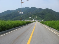 라스베가스한인회 : read -