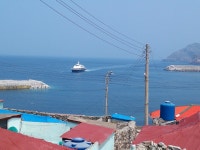 조행기 117 페이지 > 인터넷바다낚시