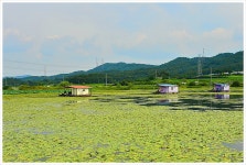 지평 > 충남 아산시 안골낚시터 : 낚시사랑