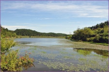 대경지부 8월정출 이모저모 :: 토종붕어를 사랑하는 사람들