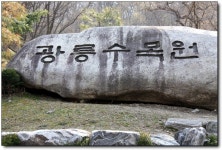 [포천] 그 숲에서 사무치게 흔들려보자!! ＜광릉수목원＞